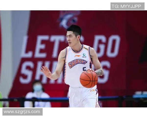 刘铮的成长之路：从篮球新星到职业生涯的辉煌历程与挑战